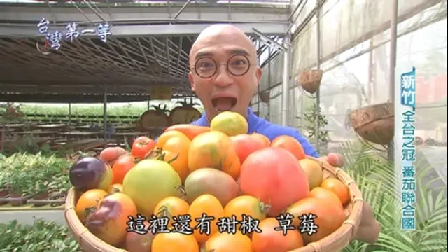台灣第一等-第181集 全台之冠 番茄聯合國