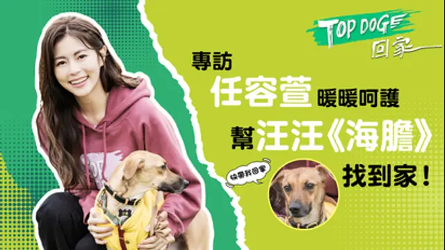 LiTV偶像專題特企-第536集 TOP DOG 任容萱專訪