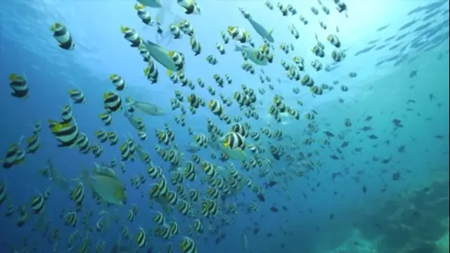 水下30米-第8集 馬爾地夫深南線