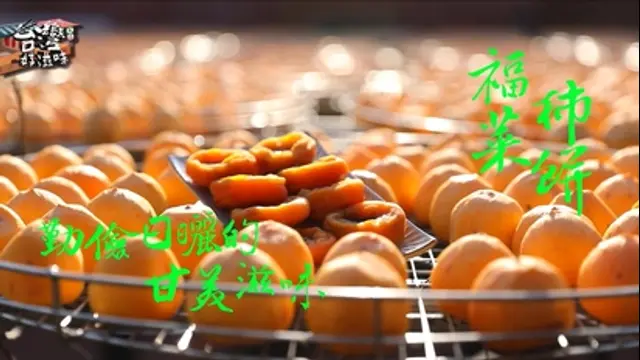 台灣好滋味-第2集 勤儉日菜的甘美滋味  福菜 柿餅