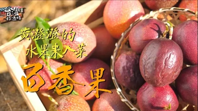 台灣好滋味-第19集 黃澄澄的水果來入菜 百香果