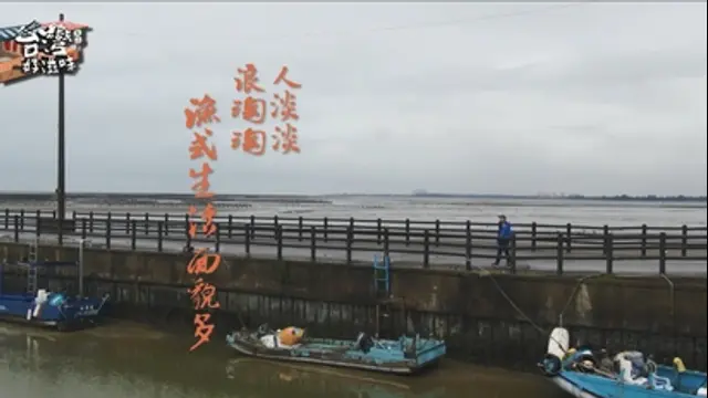 台灣好滋味-第26集 人淡淡 浪淘淘 漁式生活面貌多