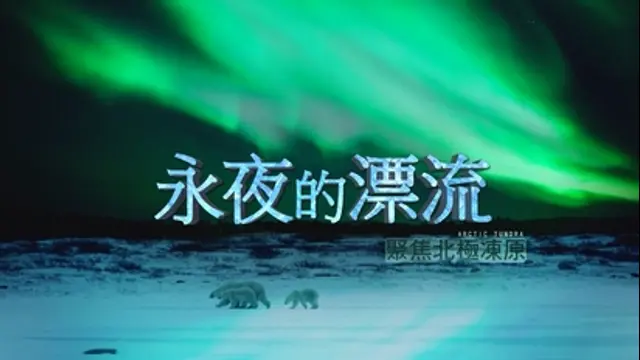 聚焦全世界-第41集 永夜的漂流－聚焦北極凍原